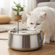 Load image into Gallery viewer, Cat Water Fountain, Stainless Steel, Large Capacity