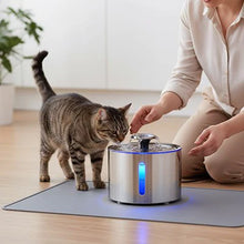 Load image into Gallery viewer, Stainless Steel Cat Water Fountain, Silent Filtered Automatic Dispenser