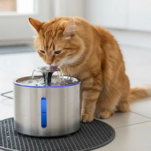 Load image into Gallery viewer, Stainless Steel Cat Water Fountain, Silent Filtered Automatic Dispenser