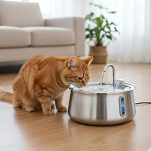 Load image into Gallery viewer, Cat Water Fountain, Stainless Steel, Large Capacity