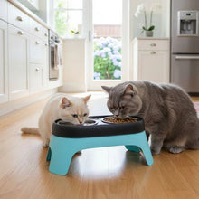 Load image into Gallery viewer, Elevated Cat Bowl, Non-Slip Stainless Steel Feeding Dish