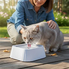 Load image into Gallery viewer, Elevated Cat Water Bowls, Anti-Splash Floating Design