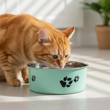 Load image into Gallery viewer, Stainless Steel Cat Bowls, Non Slip Easy Clean Feeding Dish