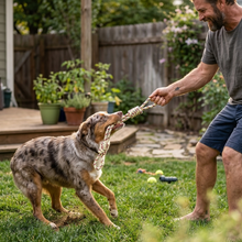 Load image into Gallery viewer, Dog Rope Toy Ultra-Resistant Cotton Tug
