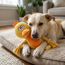 Load image into Gallery viewer, Duck Plush Dog Toy Durable & Comforting