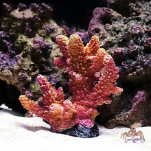 Load image into Gallery viewer, Vibrant Resin Coral Reef Decor for Aquariums