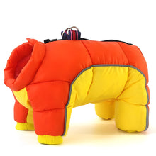 Load image into Gallery viewer, Small Dog Winter Parka with Back Zipper and Reflective Strip