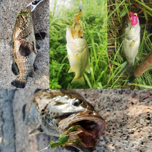 Load image into Gallery viewer, 8pcs Floating Soft Shrimp Baits, 2.5in 0.14oz Silicone Crankbait Fishing Lures for Bass and Freshwater Game Fish