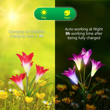 Load image into Gallery viewer, Enchanting Solar-Powered Lily Lights for Gardens and Patios