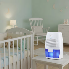 Load image into Gallery viewer, Quiet Moisture Control System for Comfortable Home and Professional Spaces