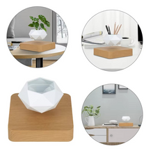 Load image into Gallery viewer, Magnetic Levitating Bonsai Planter, Floating Flower Pot for Home and Office Décor