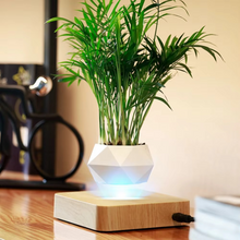 Load image into Gallery viewer, Levitating Plant Pot – Magnetic Floating Planter
