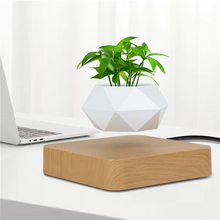 Load image into Gallery viewer, Magnetic Levitating Bonsai Planter, Floating Flower Pot for Home and Office Décor