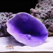 Load image into Gallery viewer, Vibrant Resin Coral Reef Decor for Aquariums