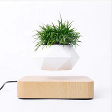 Load image into Gallery viewer, Magnetic Levitating Bonsai Planter, Floating Flower Pot for Home and Office Décor