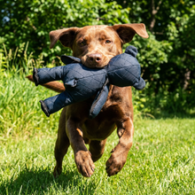 Load image into Gallery viewer, Bear Dog Toy with Built In Squeaker and Reinforced Nylon Rubber, Machine Washable