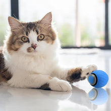 Load image into Gallery viewer, Interactive Cat Toy, Automatic Moving Ball with Rechargeable Battery