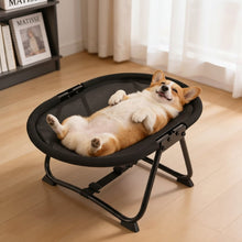 Load image into Gallery viewer, Elevated Pet Bed with Breathable Mesh and Collapsible Iron Frame, Portable Storage Bag