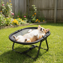 Load image into Gallery viewer, Elevated Pet Bed with Breathable Mesh and Collapsible Iron Frame, Portable Storage Bag