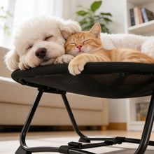 Load image into Gallery viewer, Elevated Pet Bed with Breathable Mesh and Collapsible Iron Frame, Portable Storage Bag