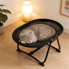 Load image into Gallery viewer, Elevated Pet Bed with Breathable Mesh and Collapsible Iron Frame, Portable Storage Bag