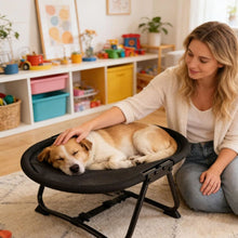 Load image into Gallery viewer, Elevated Pet Bed with Breathable Mesh and Collapsible Iron Frame, Portable Storage Bag