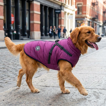 Load image into Gallery viewer, Waterproof Winter Dog Jacket - Sherpa-Fleece Lined - Built-in Harness