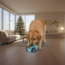 Load image into Gallery viewer, Interactive Dog Feeding Puzzle, Slow Feeder for Mental Stimulation