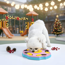 Load image into Gallery viewer, Meal Maze Slow Feeding Puzzle for Dogs and Cats