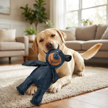 Load image into Gallery viewer, Bear Dog Toy with Built In Squeaker and Reinforced Nylon Rubber, Machine Washable
