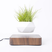 Load image into Gallery viewer, Magnetic Levitating Bonsai Planter, Floating Flower Pot for Home and Office Décor