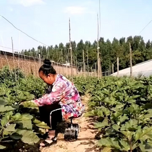 Load image into Gallery viewer, 360 Degree Rotating Garden Mobile Seat for Comfortable Gardening and Greenhouse Work