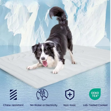 Load image into Gallery viewer, Ultimate Cooling Pet Mat for Cats & Dogs - Comfortable & Durable Sleeping Pad