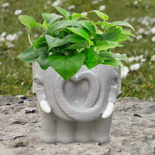Load image into Gallery viewer, Adorable Cartoon-Styled Mini Plant Pot for Decorative Display