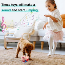 Load image into Gallery viewer, Interactive Music & Vibration Dog Play Ball