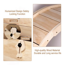 Load image into Gallery viewer, Indoor Cat Exercise Wheel with Carpeted Runway for Weight Control and Activity