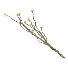 Load image into Gallery viewer, Natural Look Resin Climbing Vines for Aquariums and Terrariums