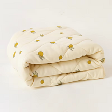 Load image into Gallery viewer, Cozy Cotton Baby Quilt and Newborn Blanket