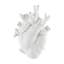 Load image into Gallery viewer, Anatomical Heart Vase - Personalized 3D Sculpture Planter for Home & Classroom Decor
