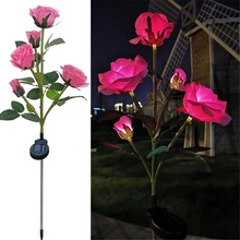 Load image into Gallery viewer, Solar Powered Rose Garden Lights for Outdoor Landscape and Patio Décor