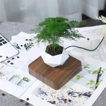 Load image into Gallery viewer, Levitating Plant Pot – Magnetic Floating Planter