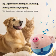 Load image into Gallery viewer, Interactive Music & Vibration Dog Play Ball