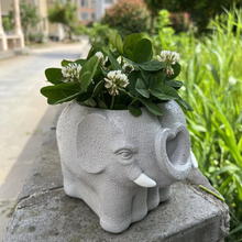 Load image into Gallery viewer, Adorable Cartoon-Styled Mini Plant Pot for Decorative Display