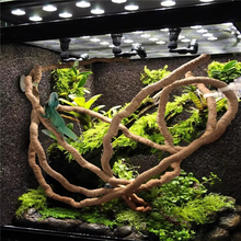 Load image into Gallery viewer, Flexible Jungle Climbing Vine for Reptile Terrariums