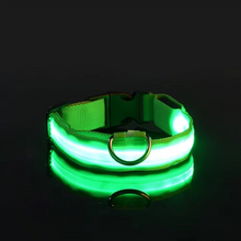 Load image into Gallery viewer, LED Glow in the Dark Dog Leash with Nylon Safety Light