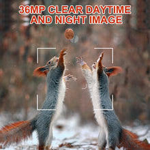 Load image into Gallery viewer, Hunting trail camera 36MP 1080P with night vision