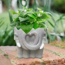 Load image into Gallery viewer, Adorable Cartoon-Styled Mini Plant Pot for Decorative Display