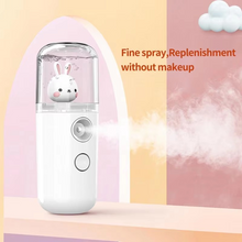 Load image into Gallery viewer, Portable Facial Mist Sprayer Rechargeable Mini Steamer for Deep Hydration