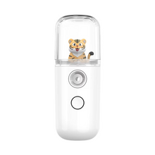 Load image into Gallery viewer, Portable Facial Mist Sprayer Rechargeable Mini Steamer for Deep Hydration