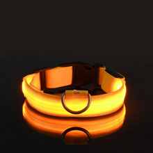 Load image into Gallery viewer, LED Glow in the Dark Dog Leash with Nylon Safety Light